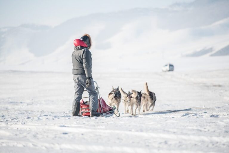 Dog sledding Mongolia