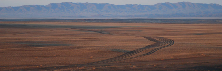 A Mongolian landscape